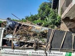 Recycling Services for Junk in Guadalupe, AZ